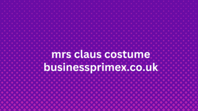 mrs claus costume