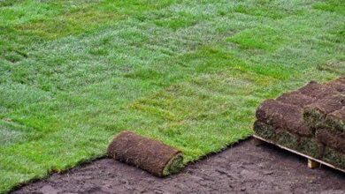 Turf Laying Services