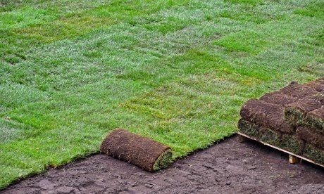 Turf Laying Services